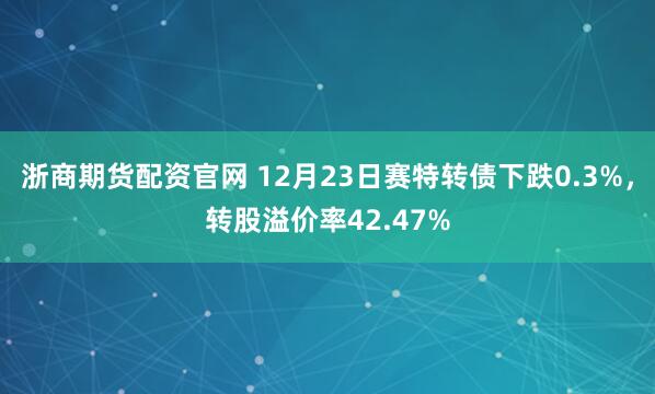 浙商期货配资官网 12月23日赛特转债下跌0.3%，转股溢价率42.47%